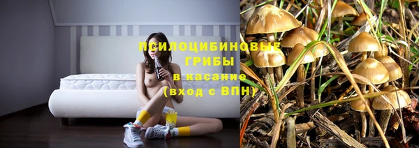 первитин Киреевск