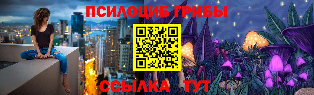 Псилоцибиновые грибы Psilocybe Долгопрудный