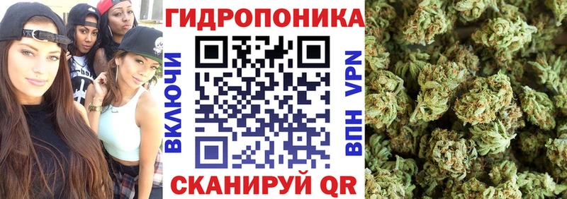 Каннабис Bruce Banner  купить наркотик  Долгопрудный 