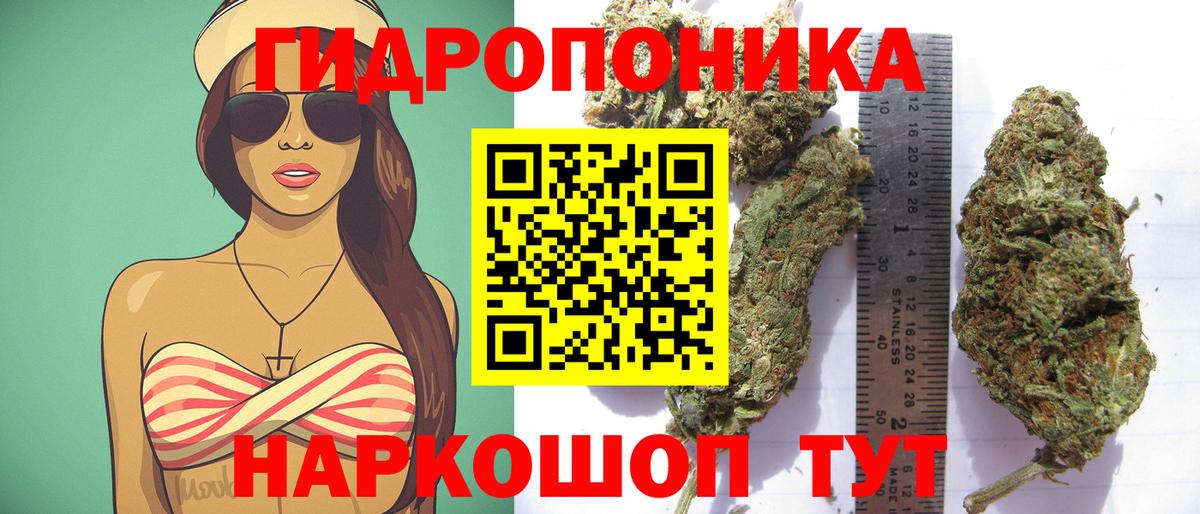 Каннабис конопля  МАРИХУАНА план  Шишки марихуана White Widow  Вход с VPN  Долгопрудный 